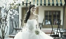 猫石对话2012年11月运势