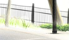 天蝎座喜欢什么花？天蝎座花语