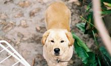 Eskey双子座2018年2月运势