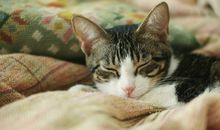 Eskey处女座2018年2月运势