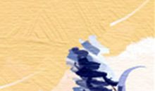 双子座爱说谎的理由是什么？