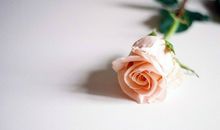 Eskey巨蟹座2018年2月运势