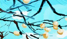 详细解释金牛座心理学效应