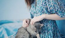 贝拉2015年8月白羊座运势