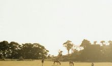 寂多蔓生金牛座一周运势（3.5-3.11）