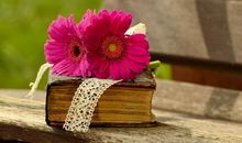 柒爸水瓶座一周运势（9.17-9.23）