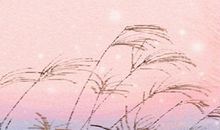 处女座土豪pk屌丝的求爱方法