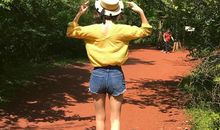 YAO叔狮子座一周运势（1.15-1.21）