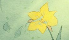 处女座与射手座吵架的矛盾点