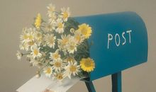 裴恩老师一周星座运势（11.21-11.27）