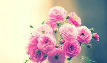 黛比弗兰克:金牛座2018年5月运势