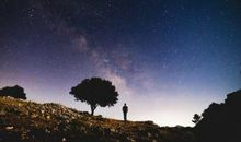 紫微十四主星本周运势2012年2月12-18日