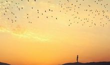 判答一周星座运势（11.14-11.20）