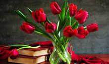 黛比弗兰克:处女座2018年5月运势