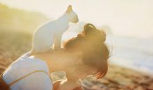 APP2016年双鱼座年运