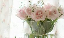 金爱伦2016年11月天秤座运势