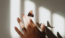 唐绮阳/唐立淇一周星座运势（5.13-5.19）