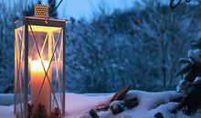 职场中升职加薪最快的星座