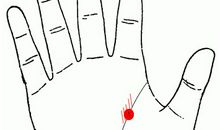 手相算命：手相解析生命线