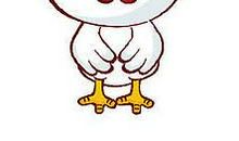 生肖鸡2013癸巳年运势