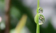 婚后容易出轨的手相有哪些?从线纹变化来看