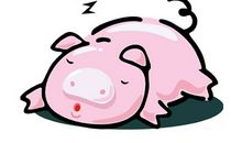 属猪的年份，属猪的出生年份