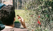 柒爸2018年3月水瓶座运势