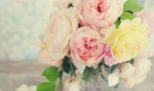 黛比弗兰克:摩羯座2018年5月运势