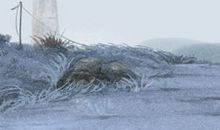 天蝎座男生生日礼物的最佳选择