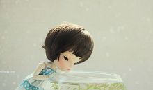 十二生肖一周运势2012年12月31日—2013年1月6日