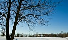 一周生肖运势1月7日—1月13日