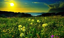 判答占星一周星座运势2014.4.21-4.27