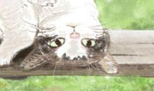 2013年天蝎座女生的幸运石