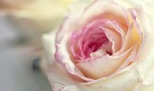 乔治娅-尼克斯（Georgia-Nicols）周运4.14-4.20