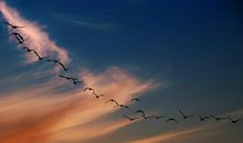 女巫树洞2016年11月天秤座运势