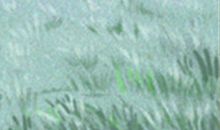 天蝎座QQ皮肤-魅力女生专辑