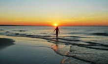 女巫树洞2016年11月摩羯座运势