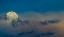 女巫树洞2016年11月金牛座运势