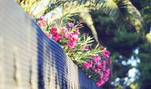 保罗-韦德星座周运(2014.4.24-4.30)