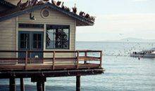 山水清澈2017年5月星座运势