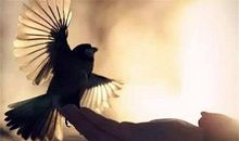 见「化忌」要加强精神修养