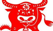 2009年是什么生肖年，2009年属什么生肖