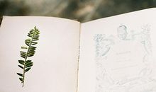 玛丽亚-德西蒙尼十二星座爱情周运(2014.4.28-5.4)