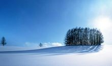 十二生肖一周运势1月21日—1月27日