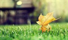 海百合一周星座运势（7.22-7.28）