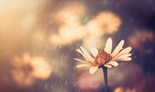 星座运势：2014年3月处女座运势