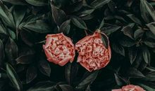 约纳逊本周爱情运势（2012年3月18-24日）