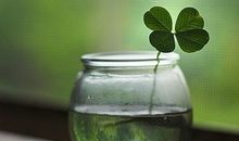 Alex星座运势（2014.5.19-5.25）