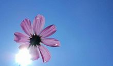 黛比弗兰克:射手座2018年5月运势