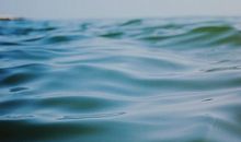 寂多蔓生处女座一周运势（1.29-2.4）